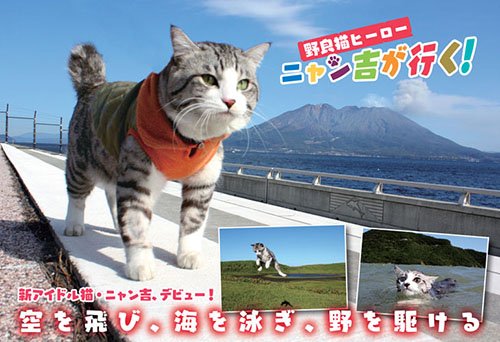 元野良猫「ニャン吉」がかわいい！話題の写真からグッズの紹介まで